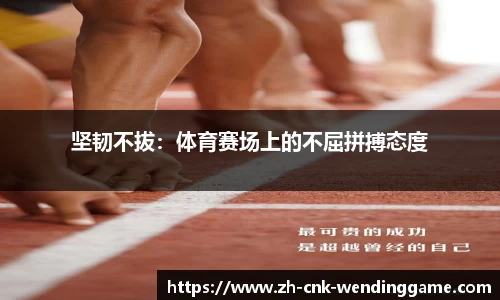 坚韧不拔：体育赛场上的不屈拼搏态度